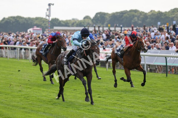 yr18082021r2-16 - Race 2 2.25pm Tattersalls Acomb Stakes