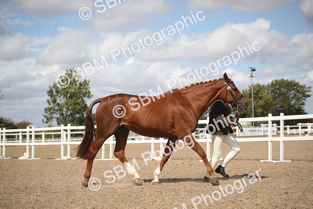 SBM_23181 - Class 606 - 2026 - Area - IH Pre Vet