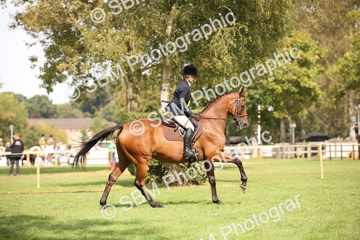SBM_66007 - S64 - Riding Horse & Hack & Thoroughbred Ridden