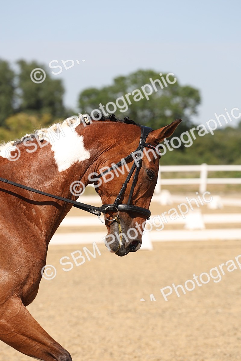 SBM_006352 - Prelim 4 - 15.56-17.51