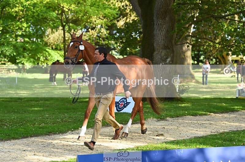 230524-164702-01082 - 111-CREEVAGHSTABLES_IFICUDIWUD-Tim_Cheffings-WEDTrotUp+DR