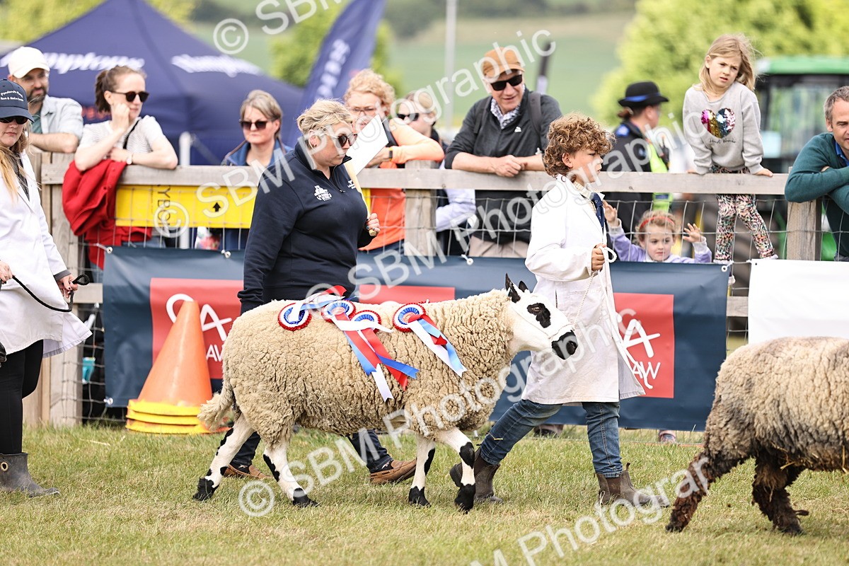 SBM_16862 - Grand Parade