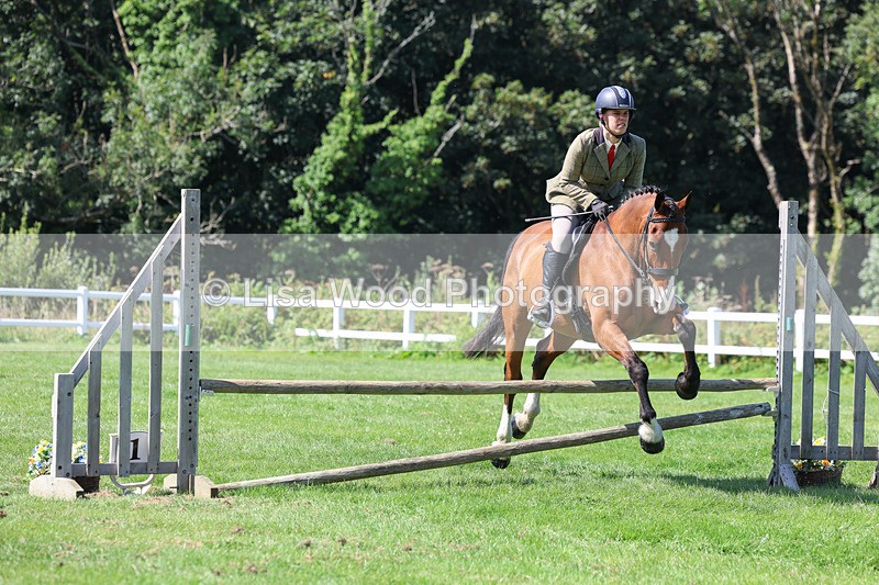 3E7A8540 - Class 5: Working Show Horse