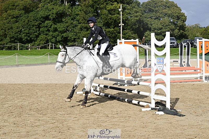 251005A-120932-03629 - Cls 08 Mini 70-75cm