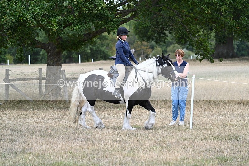 WJ7_4792 - Class 12 Ridden Cob