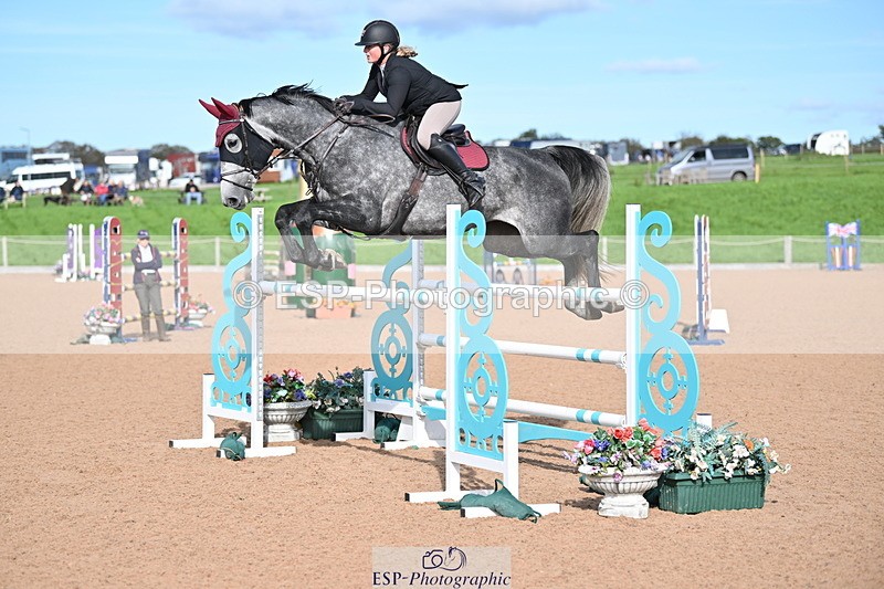 231015A-140144-08497 - Cls 31 Blue Chip Grade B & C Champ Quali