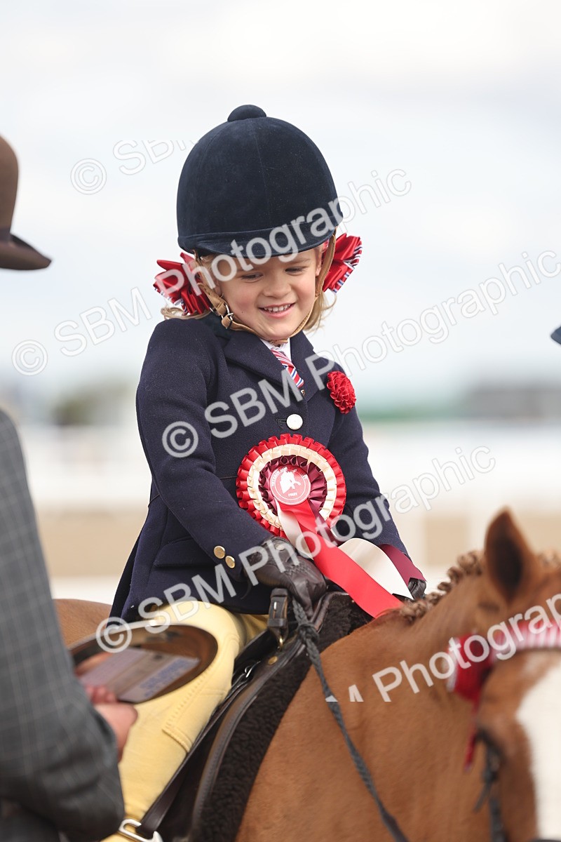 SBM_15820 - Class 309 - Lead Rein Pony