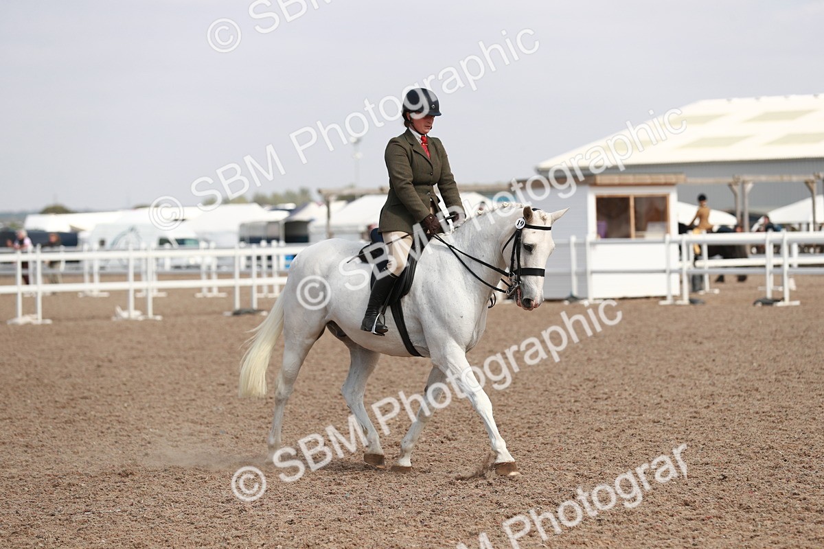 SBM_14887 - Class 212 Ridden Hunter - Small
