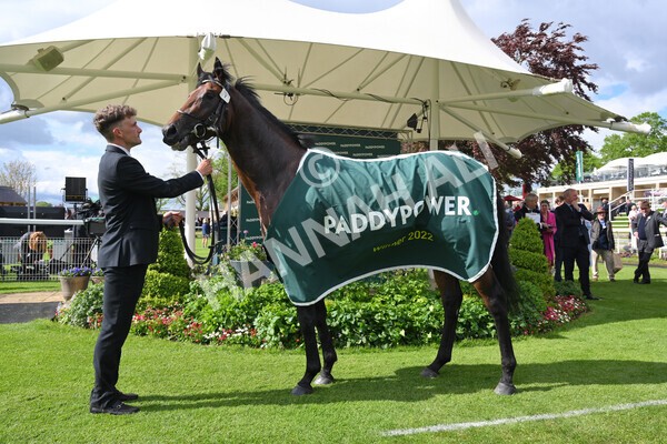 yr11052022r5-35 - Race 5 4.10pm Paddy Power 'Here For The Craic' Stakes