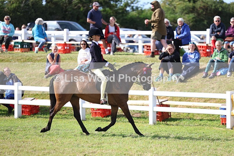 3E7A3810 - Supreme Championship