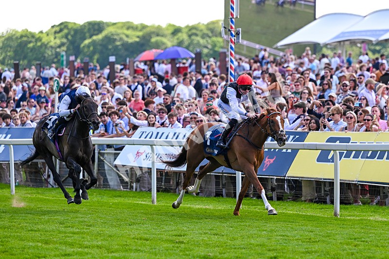 230526-Race 4-Danielle-7000 - Race 4 15.15pm William Hill Bronte Cup Fillies' Stakes