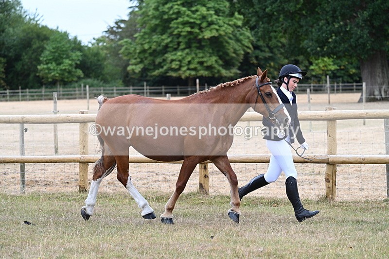 WJ7_8773 - Class 4a Prettiest Mare 14.2hh and over