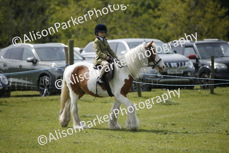 20260426-1867 - Class 7 - Pony Judge Would Most Like To Take Home