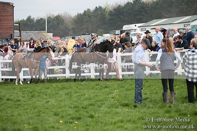 PtP 210418 173 - South & West Wilts Point-to-Point Larkhill 21/04/18