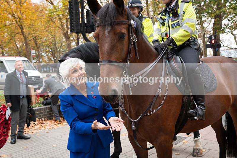 Z62_4491-2 - Animals In War Memorial 2025 - Park Lane, London