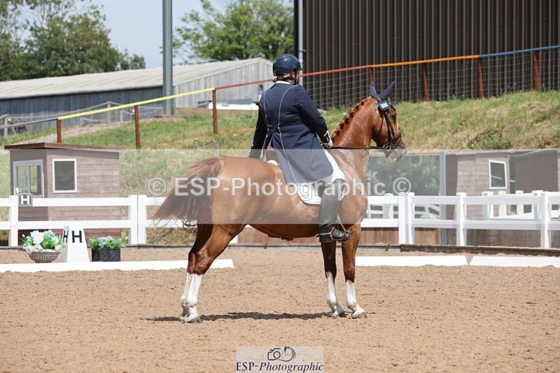 250620-134435-01394 - BD Cls 18 - Freestyle PSG-Young Rider