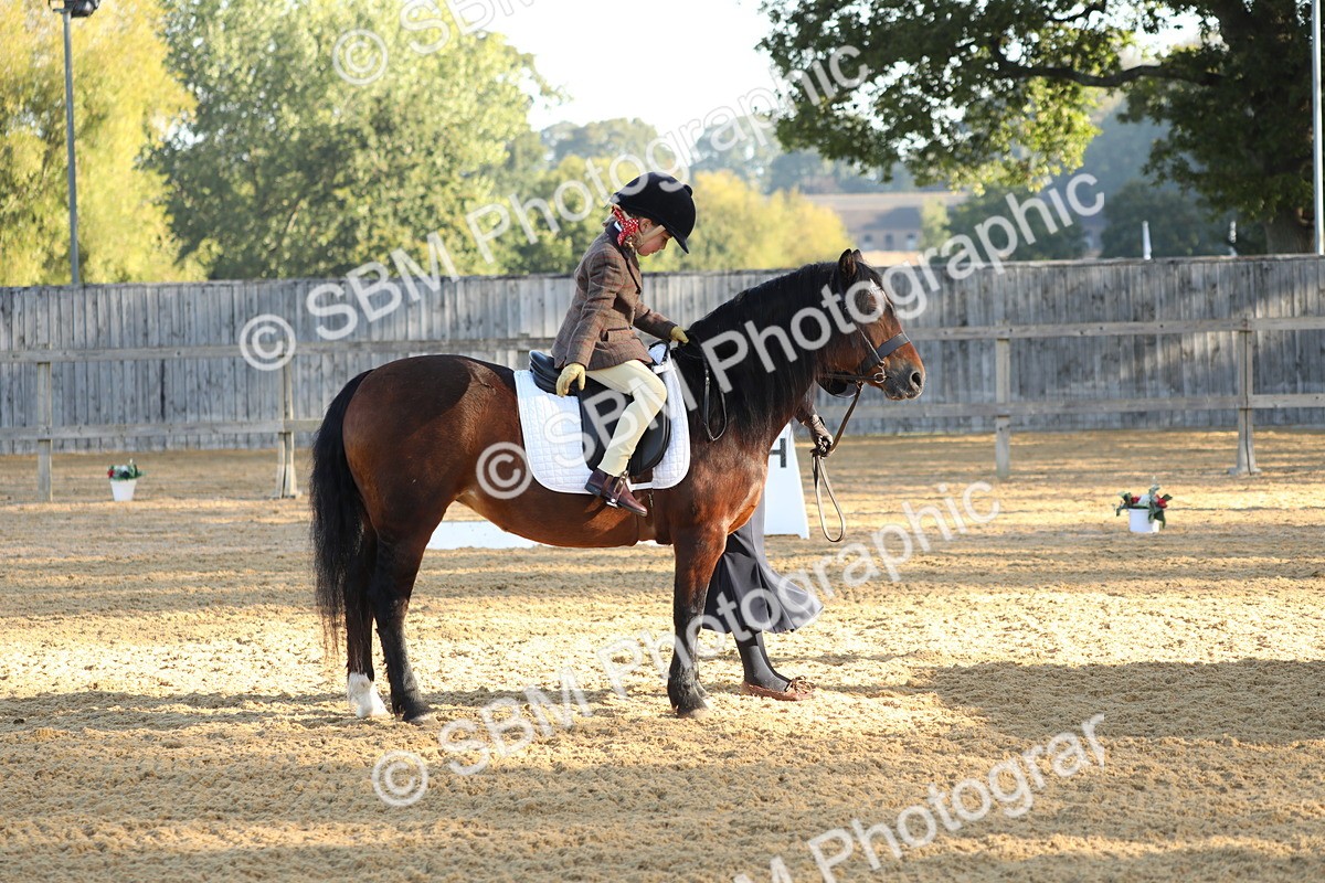 SBM_33684 - D26 - Starers - Lead Rein