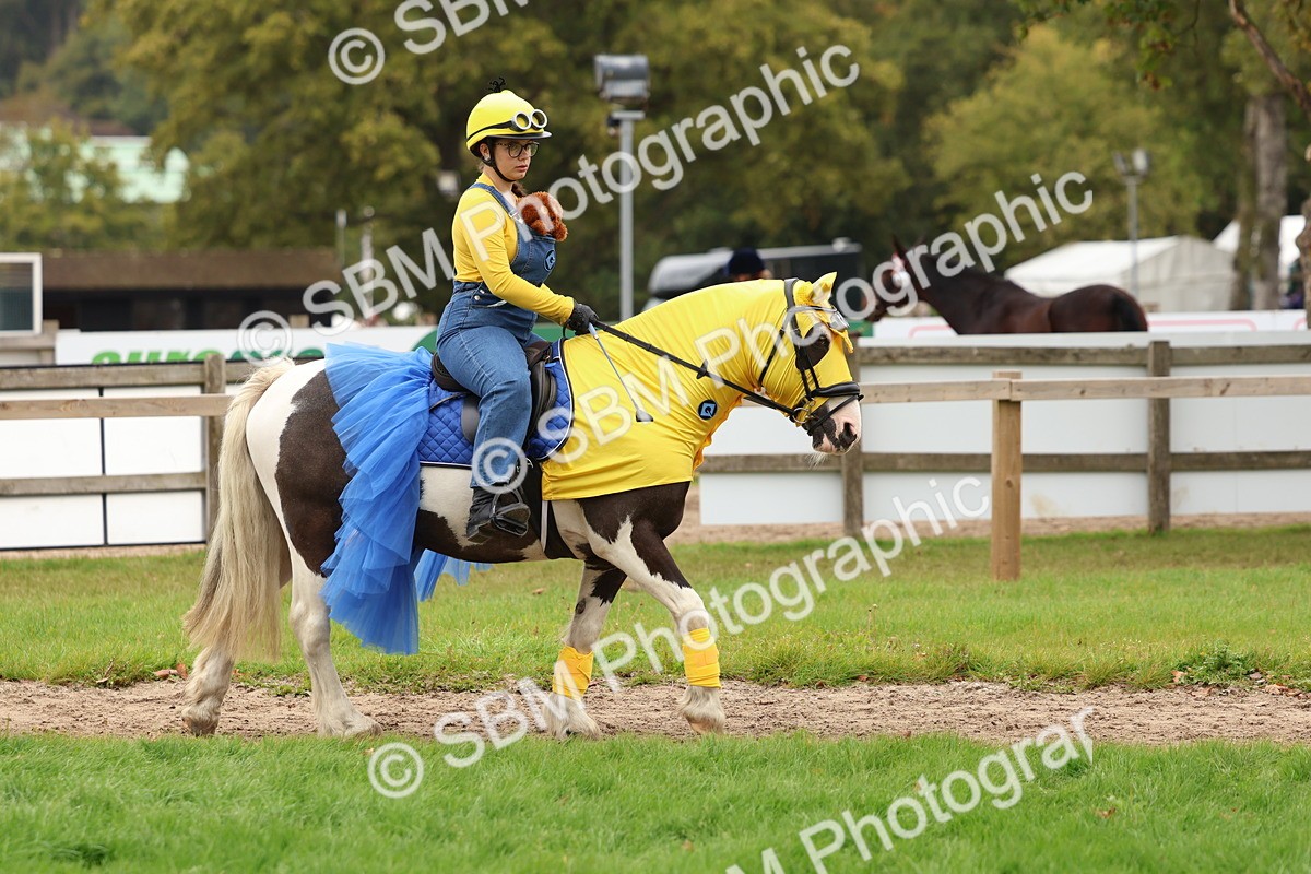 SBM_61610 - S37a - Fancy Dress Showing
