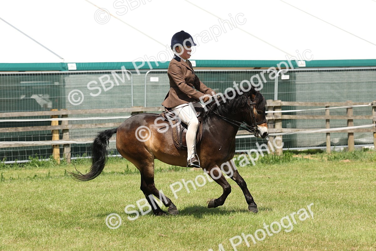 SBM_06825 - Class 26-30 - Mountain and Moorland Ridden