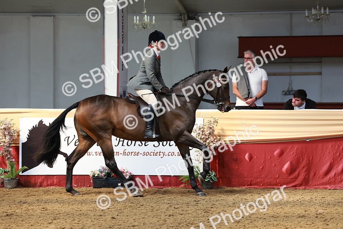 SBM_14963 - Class 108 - Ridden Retired Racehorse
