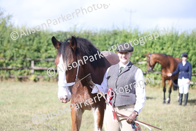 20250831-1535 - Class 21 - Inhand Open