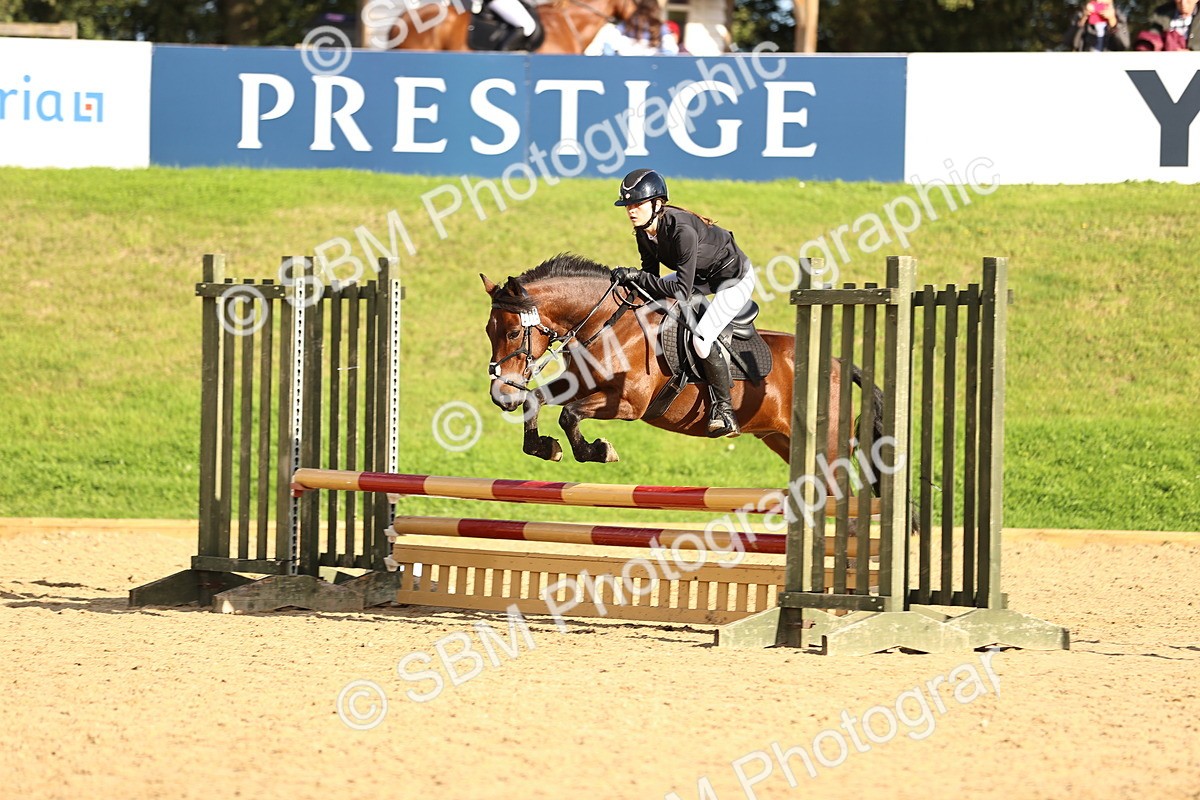 SBM_51463 - J10 - Junior Pony 75cm Championship