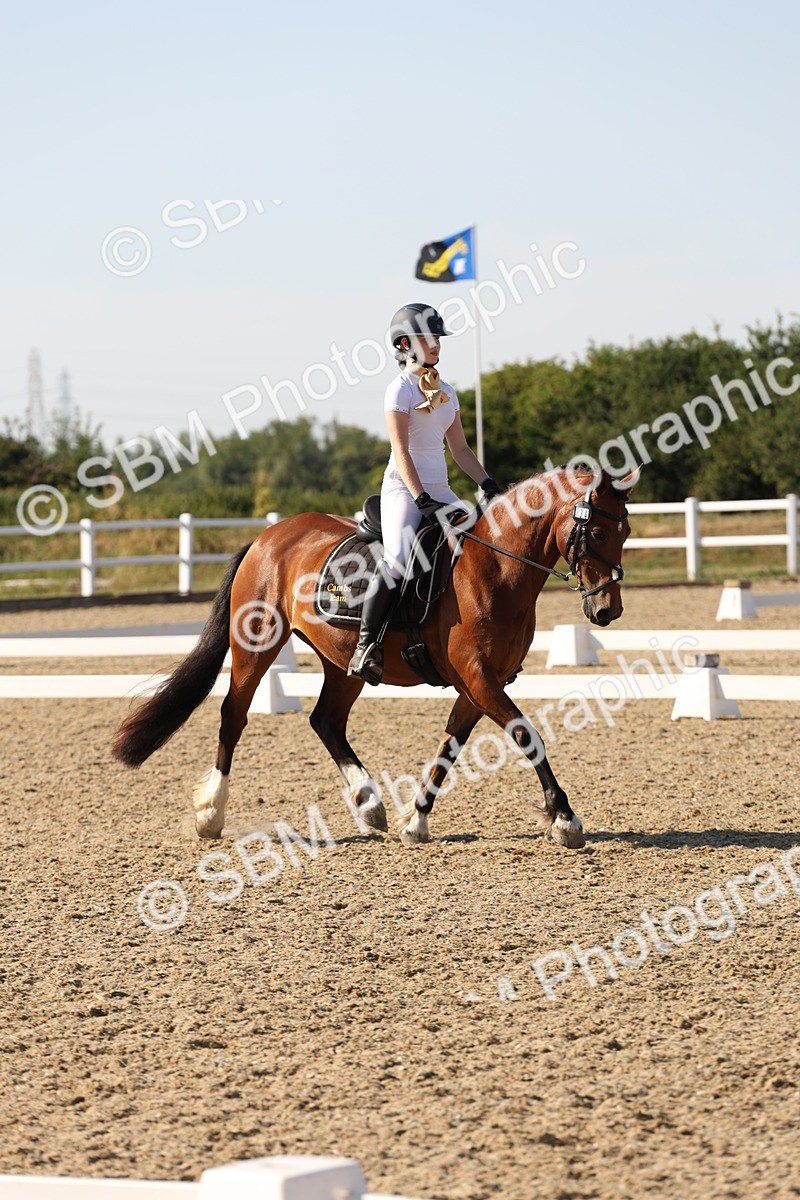 SBM_006956