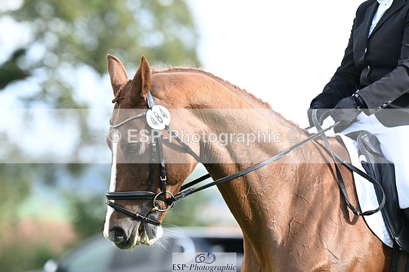 231020-120912-08010 - 484-JESATRAN.FIRECRACKER-Sally.Morton-DR