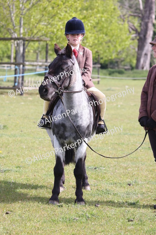 20260426-2531 - Class 31 - Leading Rein
