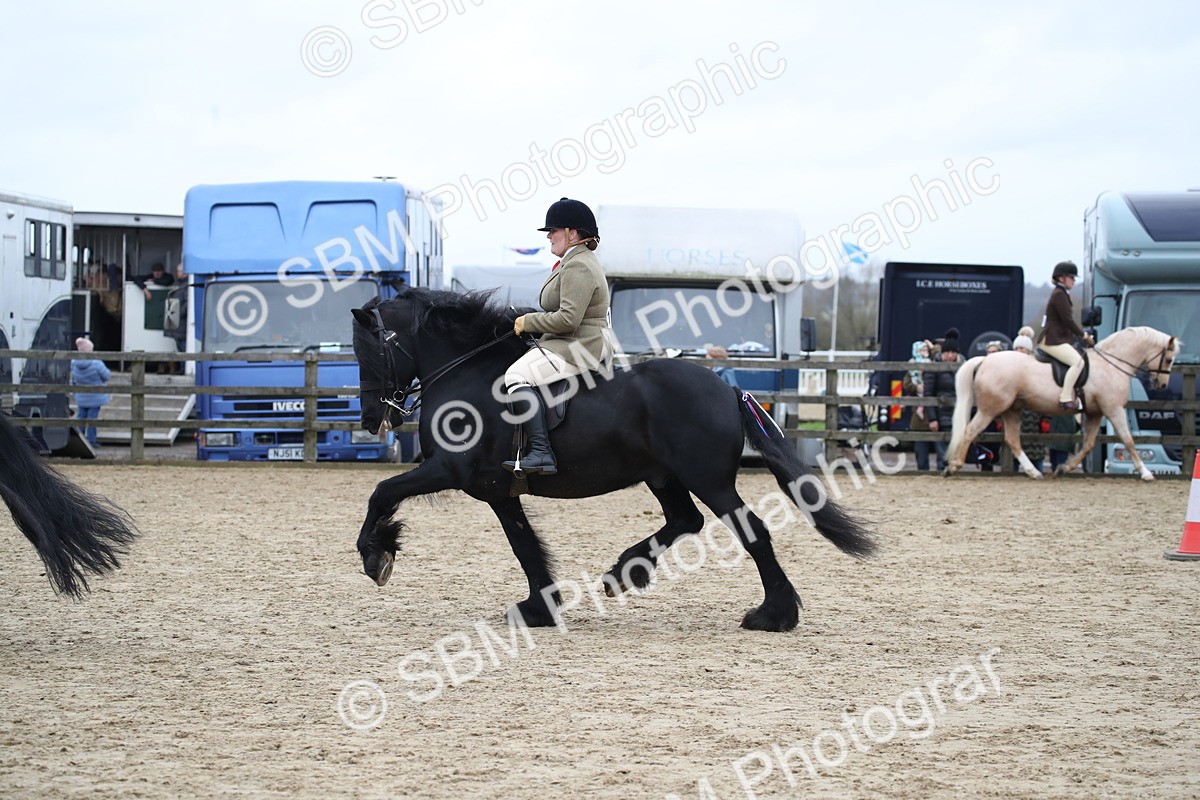 SBM_006374 - Class 10-13 - RIHS Small Large Breeds