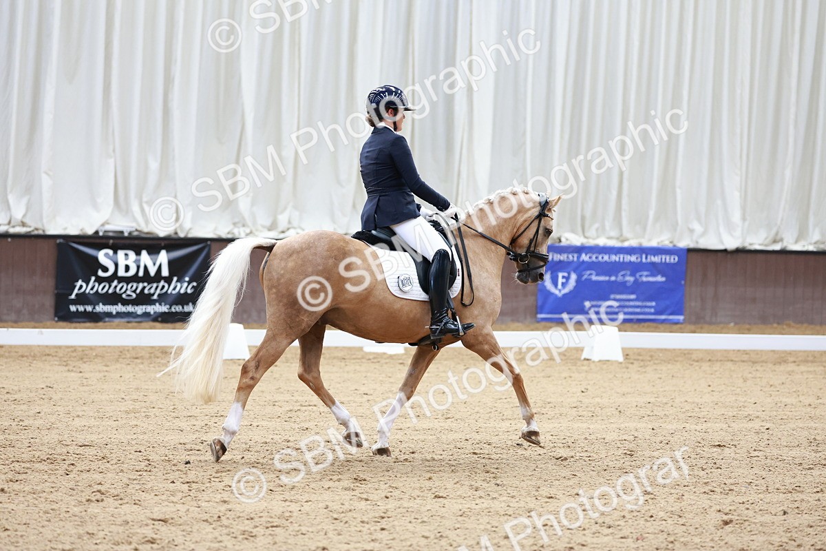 SBM_017300 - Class15 - FEI Pony