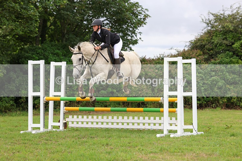 3E7A7082 - Class 5: Senior British Novice/90cm open