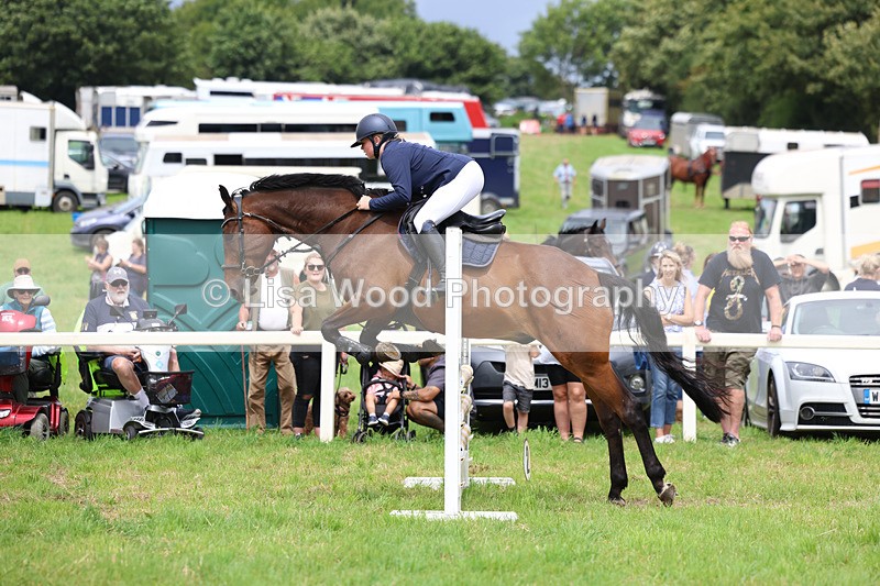 3E7A7371 - Class 5: Senior British Novice/90cm open