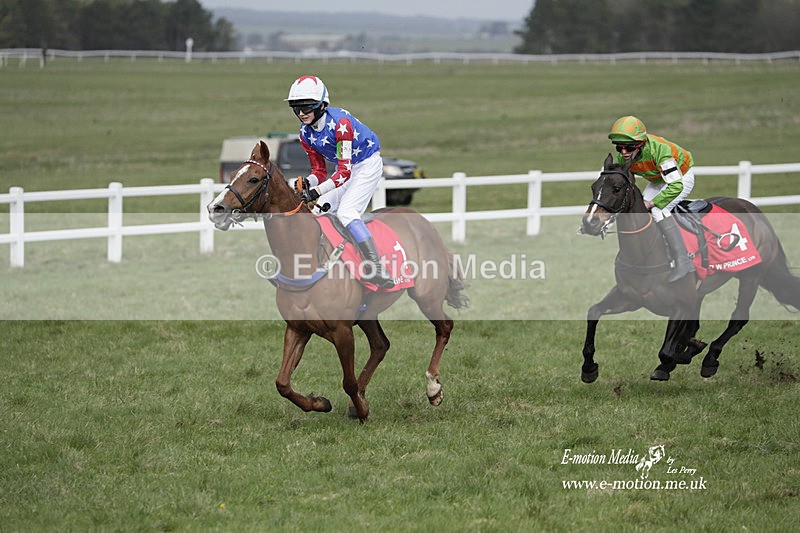 PtP 260323 1012 - New Forest Hounds Point-to-Point Larkhill 26/03/23