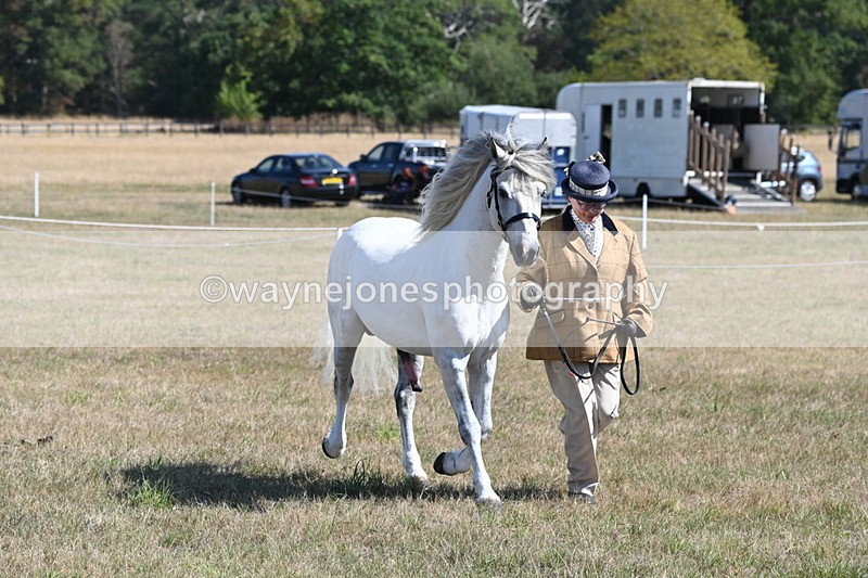 WJ6_4638 - Class 17 Mountain & Moorland