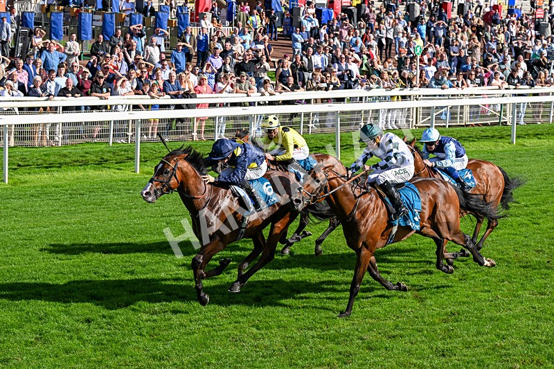 060926-Race 5-Extremely Zain-0329 - Race 5 3.50pm Starman At Tally Ho Stud Garrowby Stakes