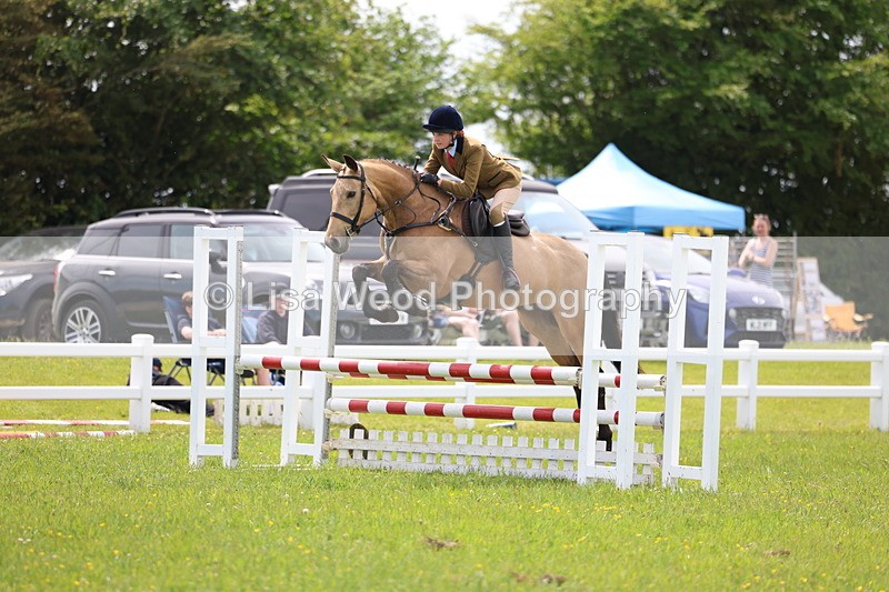 3E7A1430 - Class 13: Senior British Novice/90cm open