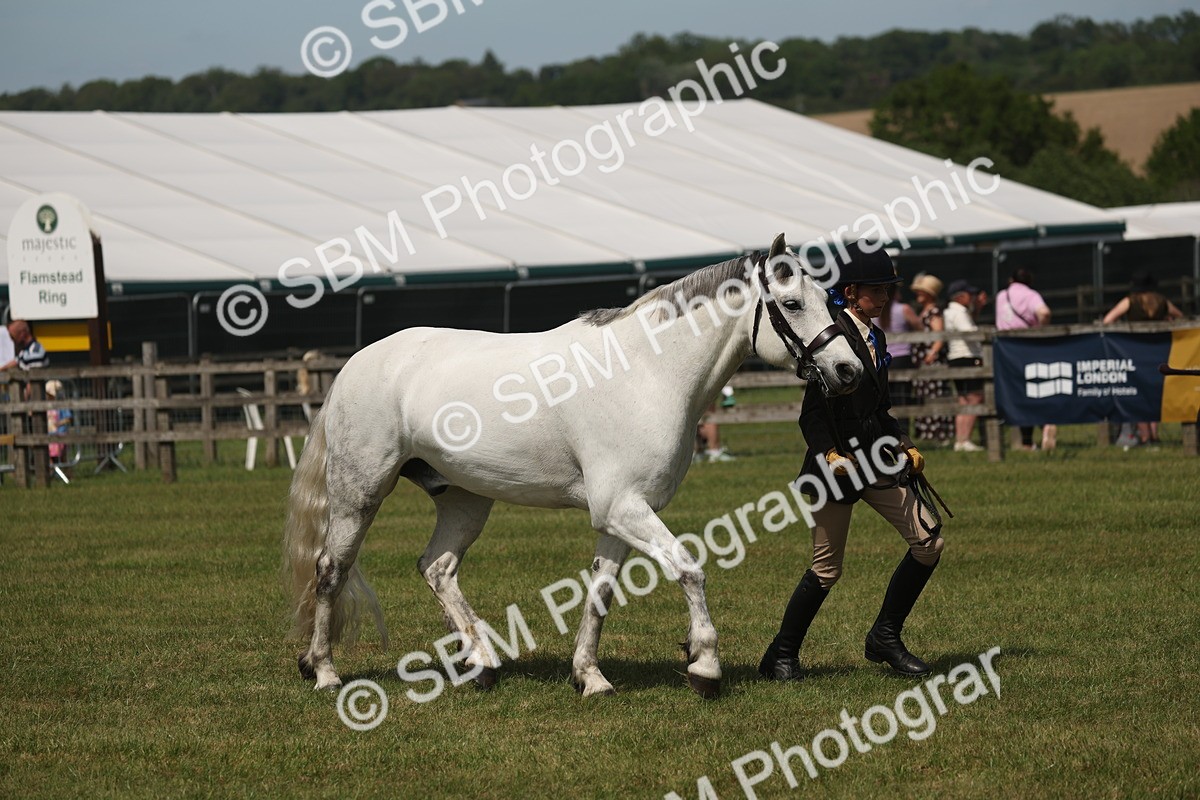 SBM_07624 - Class 26-30 - Mountain and Moorland Ridden