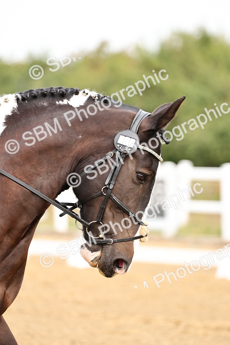 SBM_011409 - Class 1 - Prelim 4