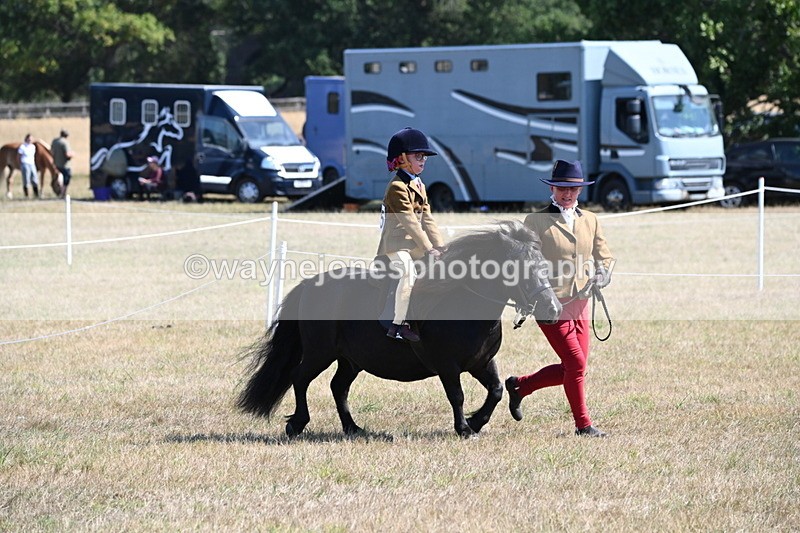 WJ6_7713 - Class 36 Lead Rein