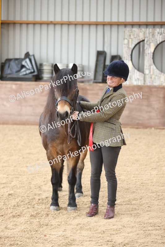 20251109-0672 - Class 22 - Geldings 4 Years and over