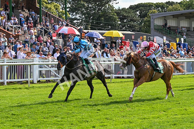 170724-Race 7-Yazaman-0565 - Race 7