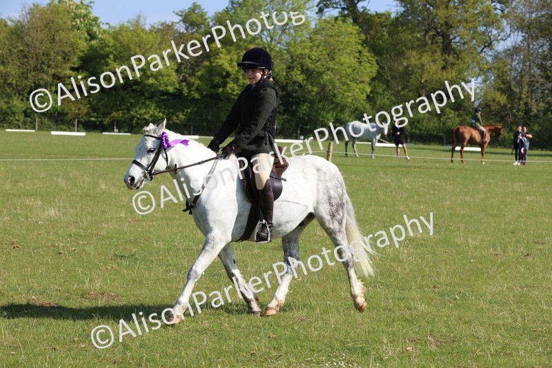 20250427-0608 - Class 17 - Novice Showing