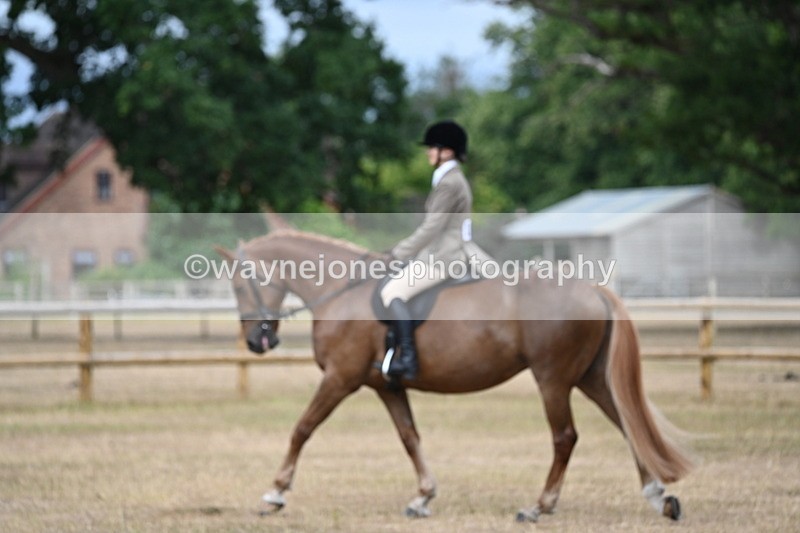 WJ6_7367 - Class 9 Tack and Turnout