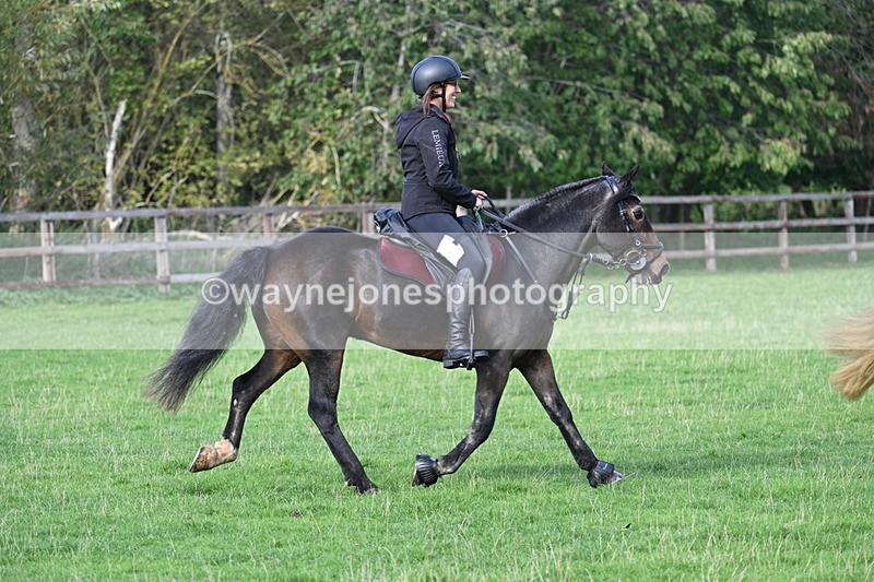 WJ7_7675 - Time 10:30 to 11:38