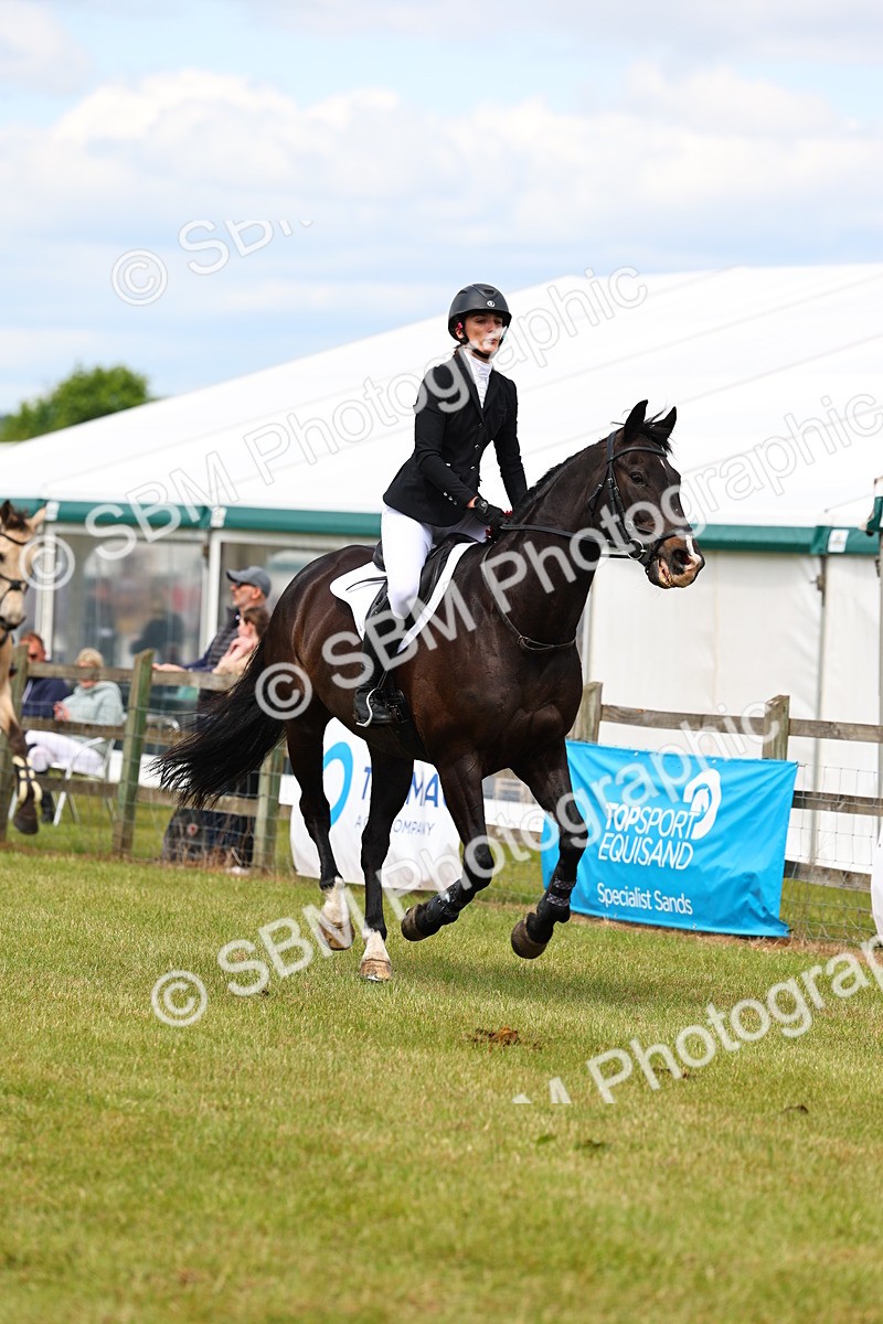 SBM_15780 - Class 207 - Senior 1.15m Open
