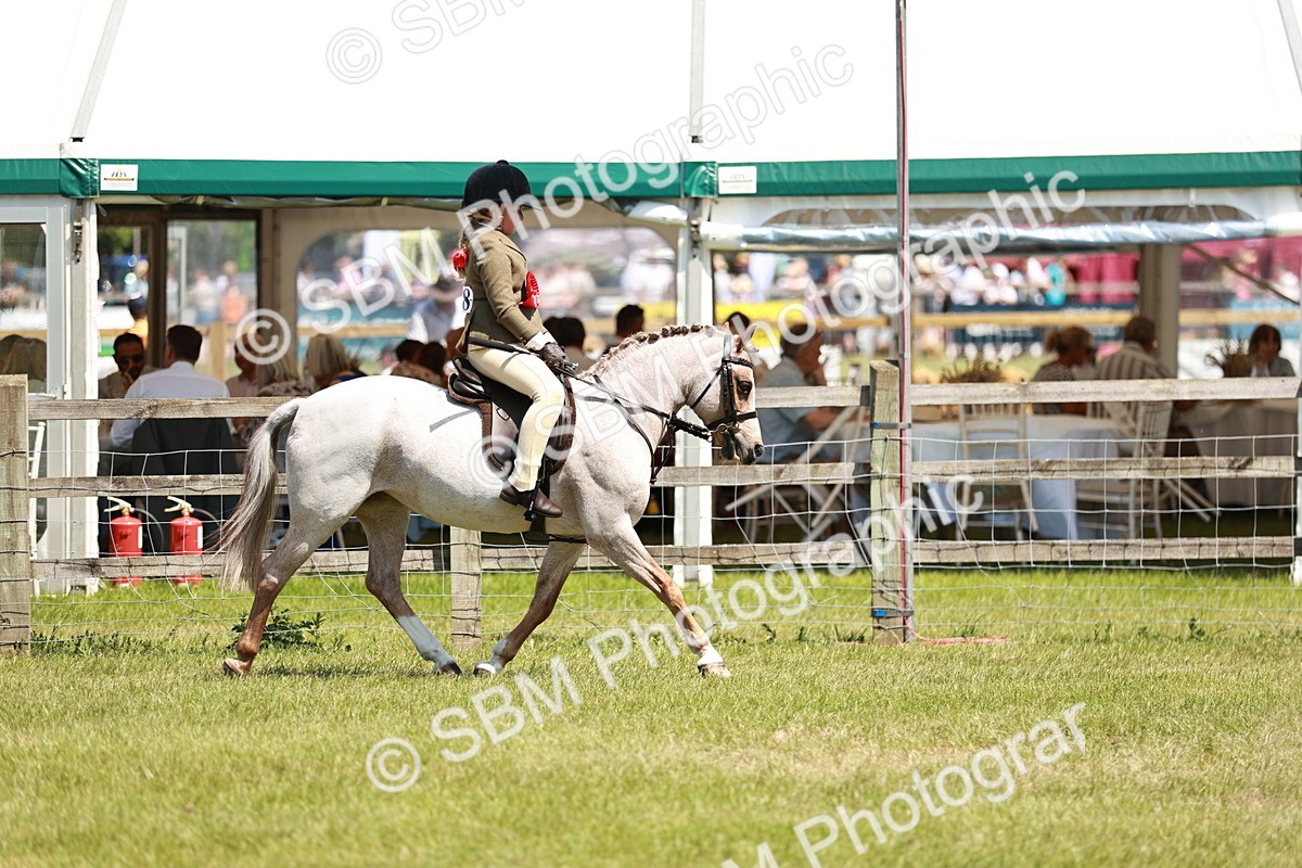 SBM_15782 - Class 108-109 - BSPS LIHS Open Gradle & Nursery Stakes