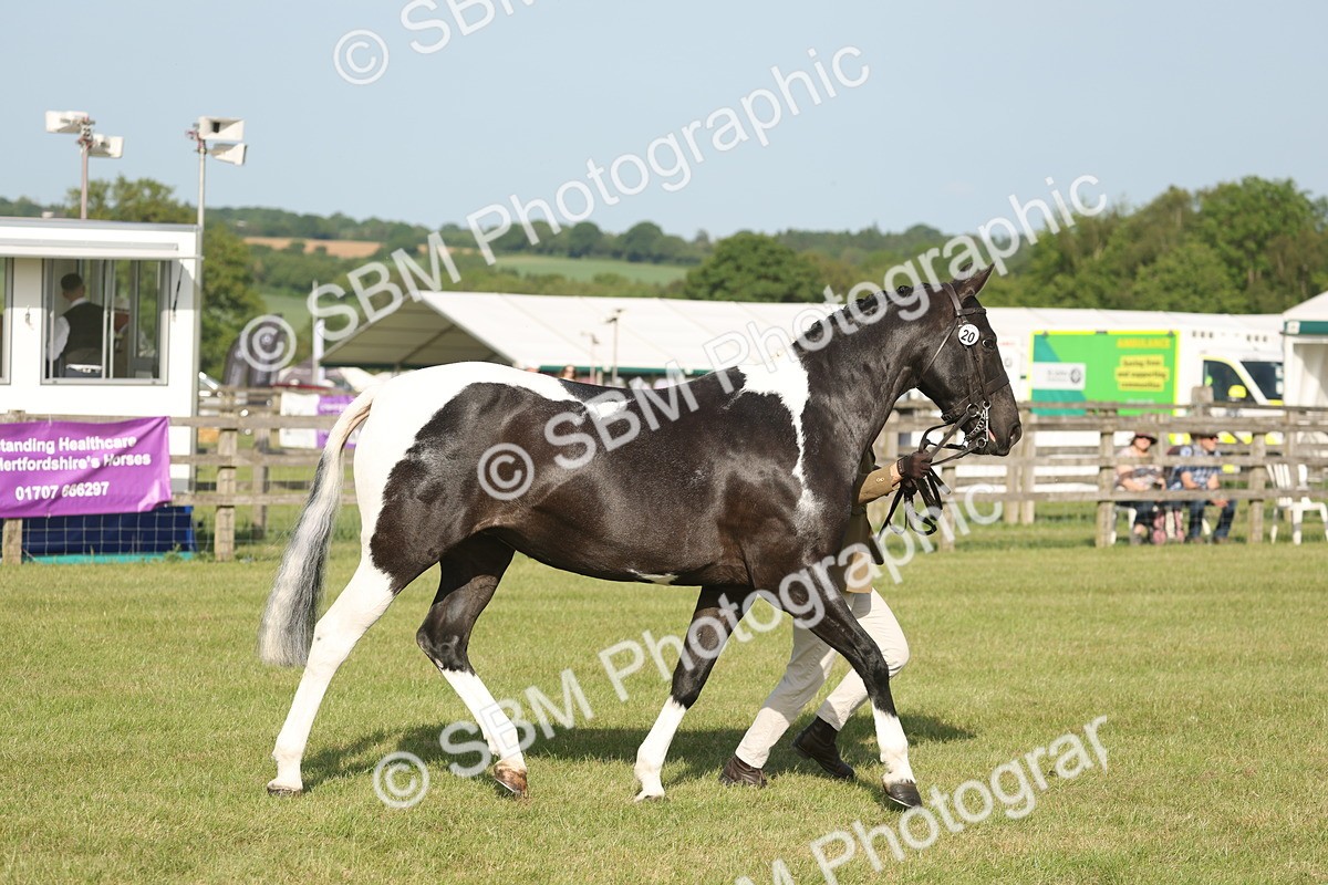 SBM_10477 - Class 33-38 - SSADL RIHS Qualifiers