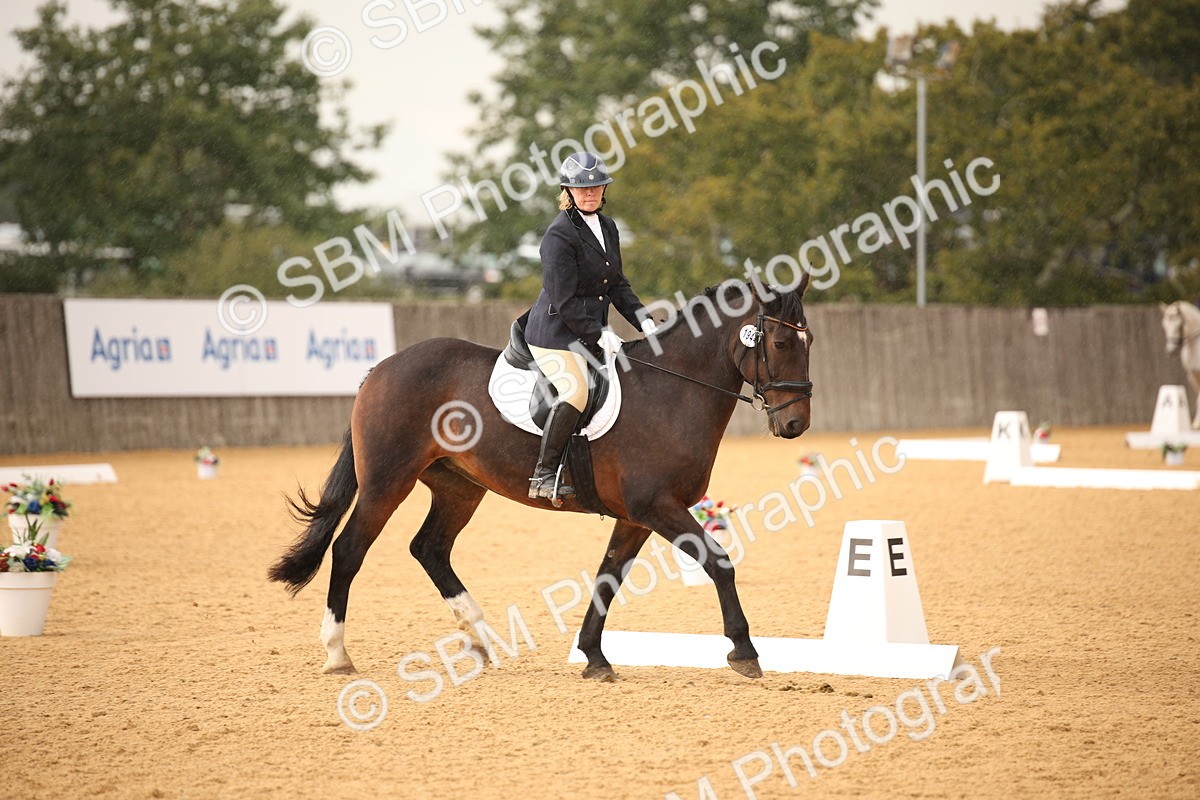 SBM_12336 - D3 Small  Tour Championship Intro A