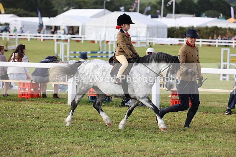 JPP_0303 - Class 14: Cornish Combination Leading Rein
